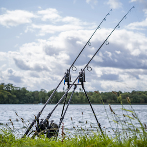 Buzz Bar & Tripode Lok Down Buzz Pods Avid Carp 12"