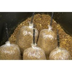 BOLSAS PVA SOLID BAGS AVID CARP 6 X12CM - Imagen 6