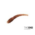 Line Aligners imitacion larva - Imagen 1