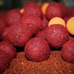 Session Pack Classic Robin Red Pro Elite Baits - Imagen 3