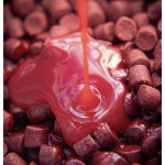 Booster Krill Garlic Krom Quality - Imagen 3
