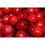 Dip Booster Robin Red Pro Elite Baits 300ml - Imagen 2