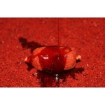Dip Booster Robin Red Pro Elite Baits 300ml - Imagen 3