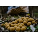 SESSION PACK CLASSIC GARLIC PRO ELITE BAITS - Imagen 3