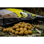 Boilies Piña Scopex 20mm Pro Elite Baits - Imagen 4